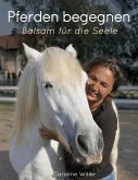 Pferden begegnen (eBook, ePUB)