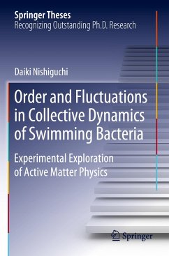 Order and Fluctuations in Collective Dynamics of Swimming Bacteria - Nishiguchi, Daiki