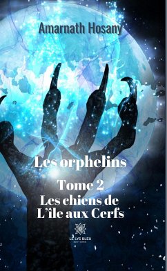 Les orphelins - Tome 2 (eBook, ePUB) - Hosany, Amarnath