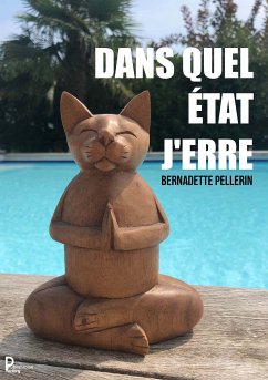 Dans quel état j'erre ? (eBook, ePUB) - Pellerin, Bernadette