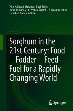 Sorghum in the 21st Century: Food – Fodder – Feed – Fuel for a Rapidly Changing World (eBook, PDF)