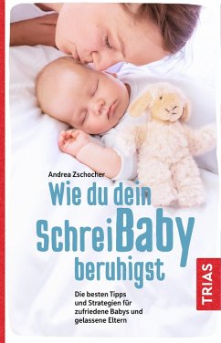 Wie du dein Schreibaby beruhigst (eBook, ePUB) - Zschocher, Andrea