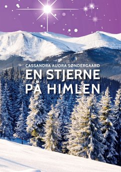 En stjerne på himlen (eBook, ePUB)