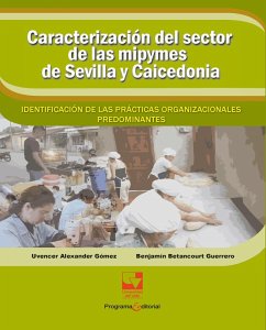Cover Caracterización del sector de las mipymes de Sevilla y Caicedonia: (eBook, PDF)