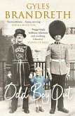 Odd Boy Out (eBook, ePUB)