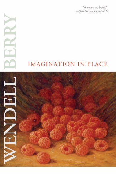 Imagination in Place (eBook, ePUB)