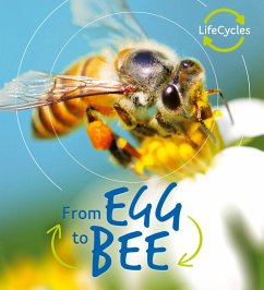 Lifecycles: Egg to Bee (eBook, ePUB) - De La Bedoyere, Camilla
