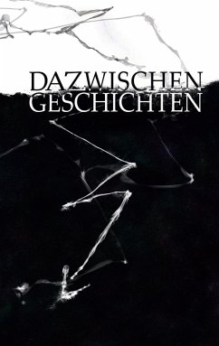 Dazwischengeschichten (eBook, ePUB) - Brella, Christine M.; Dietz, Julia E.; Ahlen, Rebecca; Day, Luna; Baumgartner, Valentina; Bühler, Daniel; Cheops, Sinakaii; Hellen, Nessa