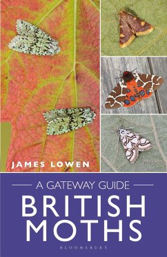 British Moths - Lowen, James