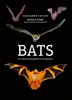 Cover Bats (eBook, ePUB)