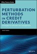 Perturbation Methods in Credit... - Bild 1