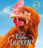 Lifecycles: Egg to Chicken (eBook, ePUB)