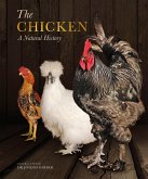 The Chicken (eBook, ePUB)