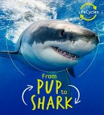 Lifecycles - Pup To Shark (eBook, ePUB)