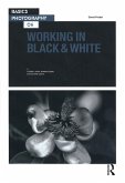 Working in Black & White (eBook, ePUB)