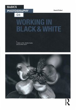 Working in Black & White (eBook, PDF) - Präkel, David