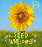 Lifecycles: Seed to Sunflower (eBook, ePUB)