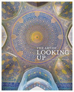 The Art of Looking Up (eBook, PDF) - Mccormack, Catherine
