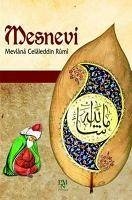 Mesnevi - Celaleddin-i Rumi, Mevlana