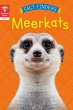 Reading Gems Fact Finders: Meerkats... - Bild 1