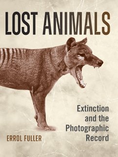 Lost Animals - Fuller, Errol