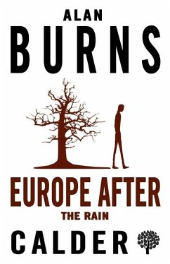 Europe After the Rain (eBook, ePUB) - Burns, Alan