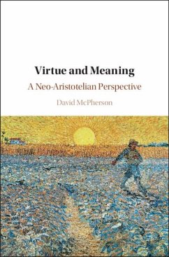 Cover Virtue and Meaning (eBook, ePUB)