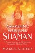 Awakening Your Inner Shaman - Bild 1