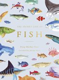 The Secret Life of Fish (eBook, ePUB)