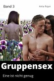 Gruppensex 3 - Eine ist nicht genug (eBook, ePUB)