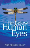 Far Below Human Eyes (eBook, ePUB)
