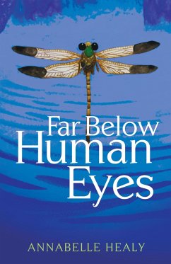 Far Below Human Eyes (eBook, ePUB) - Healy, Annabelle