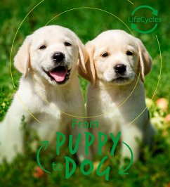 Lifecycles - Pup To Dog (eBook, ePUB) - De La Bedoyere, Camilla