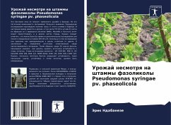 Urozhaj nesmotrq na shtammy fazolikoly Pseudomonas syringae pv. phaseolicola - Ndabaneze, Jerik