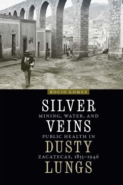 Silver Veins, Dusty Lungs (eBook, ePUB) - Gomez, Rocio