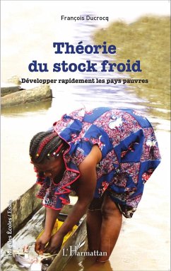 Cover Theorie du stock froid (eBook, ePUB)
