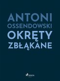 Okręty zbłąkane (eBook, ePUB)