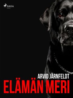 Cover Elämän meri (eBook, ePUB)