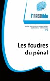 Les foudres du penal (eBook, ePUB) Les foudres du penal (eBook, ePUB)