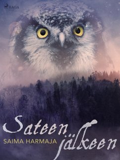 Cover Sateen jälkeen (eBook, ePUB)