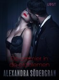 De premier in de problemen - erotisch verhaal (eBook, ePUB)
