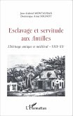 Esclavage et servitude aux Antilles (eBook, ePUB)
