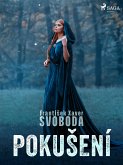 Pokušení (eBook, ePUB)