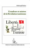 Grandeurs et misere de la Revolution tunisienne (eBook, ePUB)