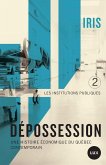 Depossession II (eBook, ePUB)