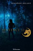 Sentence 13 (eBook, ePUB)