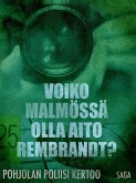 Voiko Malmössä olla aito Rembrandt? (eBook, ePUB)