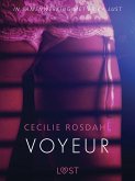 Voyeur - erotisch verhaal (eBook, ePUB)