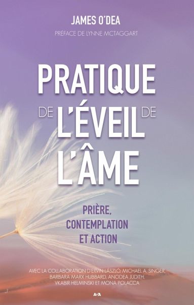 Pratique de l'eveil de l'ame (eBook, ePUB)