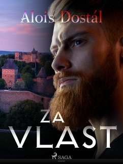 Za vlast (eBook, ePUB) - Dostal, Alois